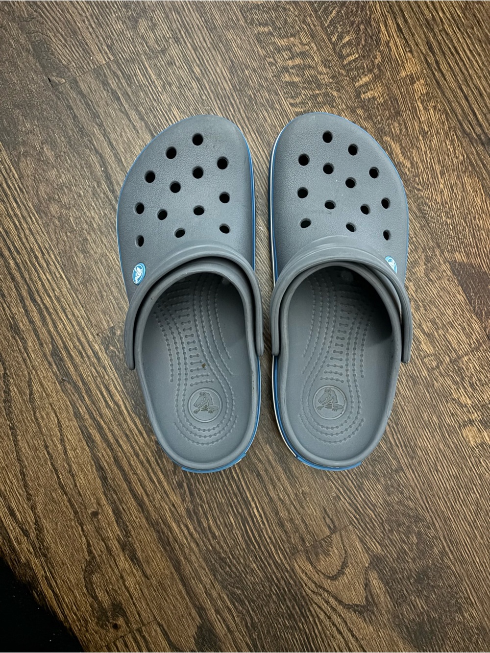 CROCS Classic Clog in Charcoal with Blue Trim